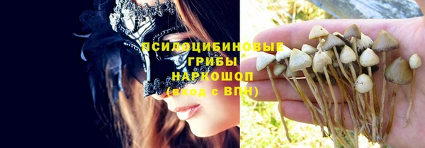 бошки Богородицк
