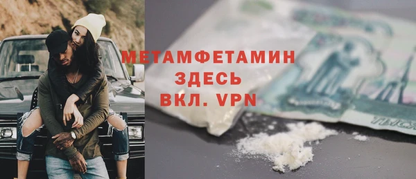 прущие грибы Богданович