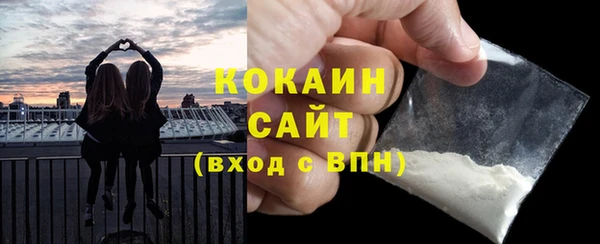 прущие грибы Богданович