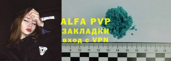 прущие грибы Богданович