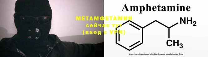 прущие грибы Богданович