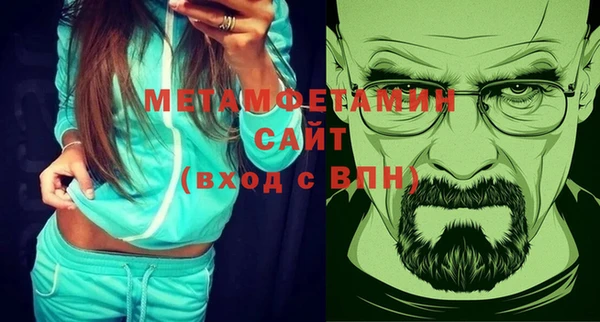 прущие грибы Богданович