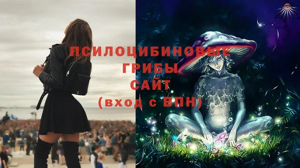 прущие грибы Богданович