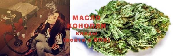 прущие грибы Богданович