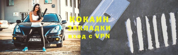 прущие грибы Богданович