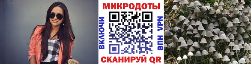 Псилоцибиновые грибы Cubensis  Купить  Очёр 