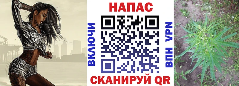 Купить где  Очёр  Марихуана White Widow 